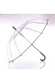 RST688-B clear manual umbrella : colour:Transparent