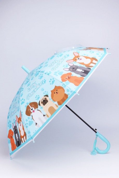 1605 Open close Umbrella