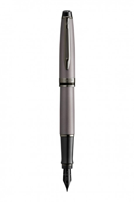 Waterman Stylo plume Expert 3 vernis argent métallisé RT Pointe Fine 2119253