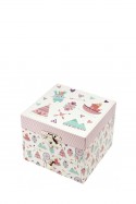 S20802 Photoluminescent Musical Cube Box Indians - Glow in dark - Trousselier
