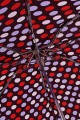 Parapluie compact RST Manuel Motif pois - 5021