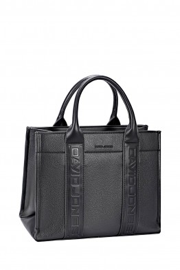 David Jones Handbag CM7724-1