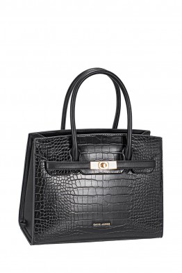 CM8250A David Jones Handbag