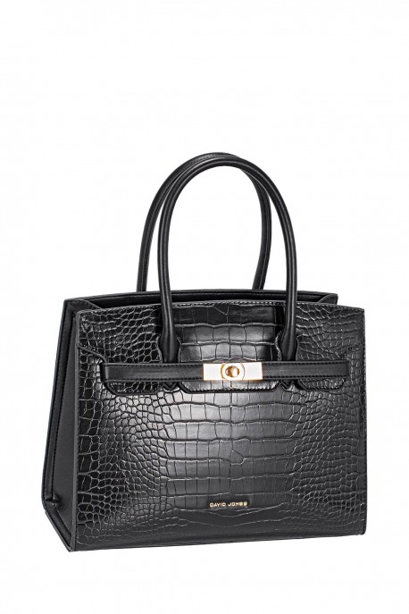 CM8250A David Jones Handbag
