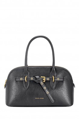 CM7805-1 David Jones handbag