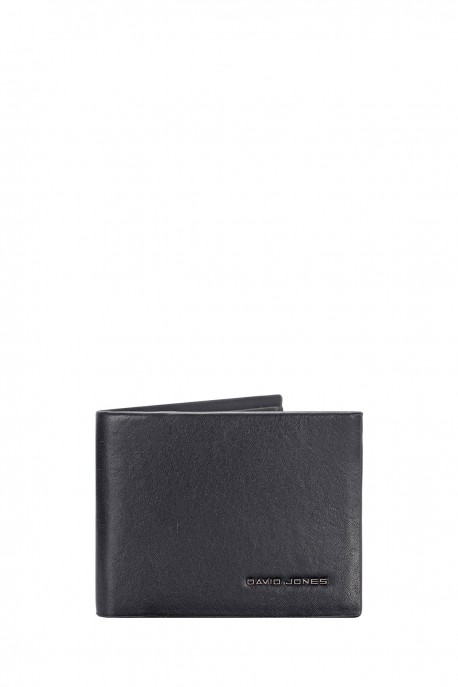 P172 Portefeuille David Jones