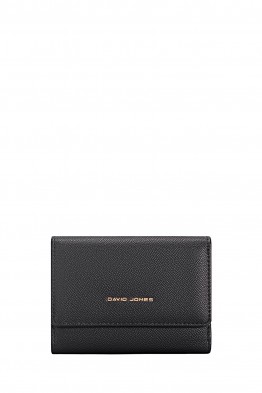 P151-2 David Jones Coin Purse