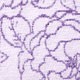 90 - VIOLET ROSE