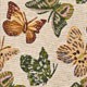 54 - MARIPOSAS
